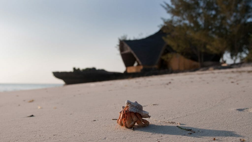 Chumbe Island, Zanzibar, Tanzania