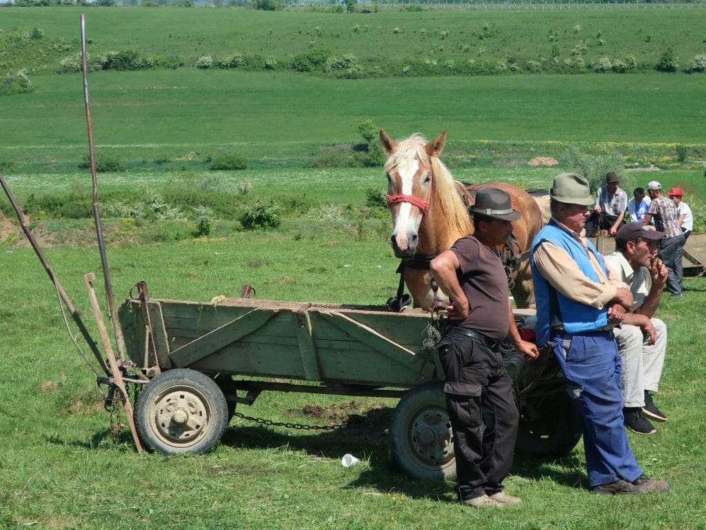 Horse Fair, Sibiu to Viscri drive, Romania