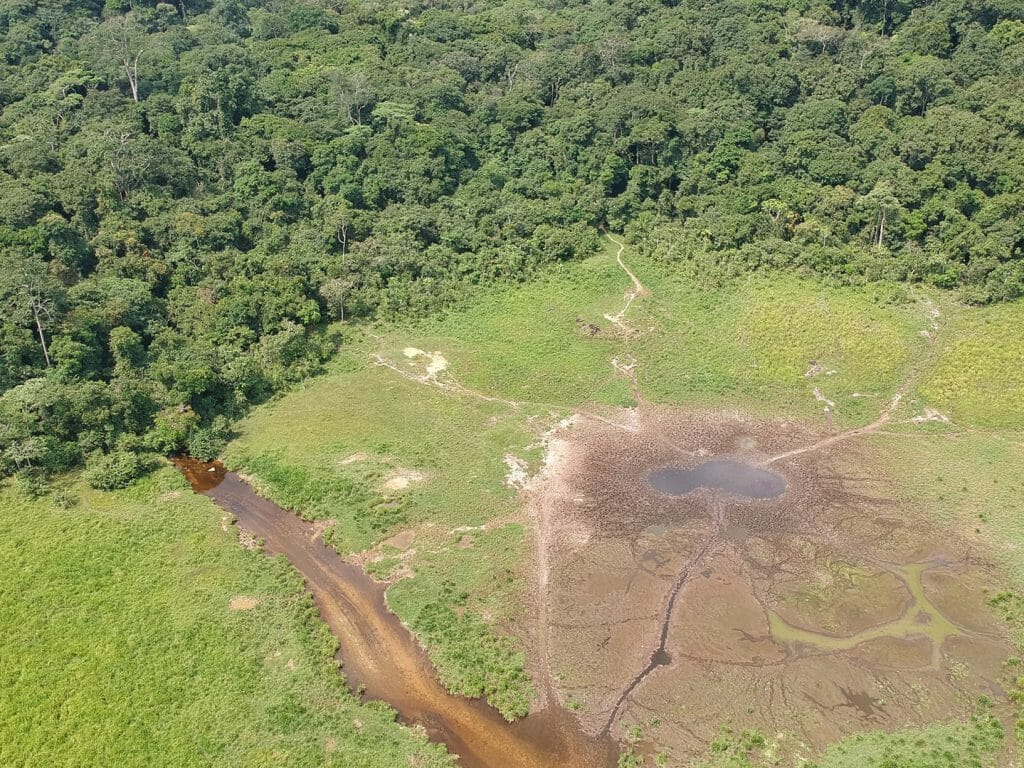 Langoue Bai from drone, Ivindo National Park, Gabon