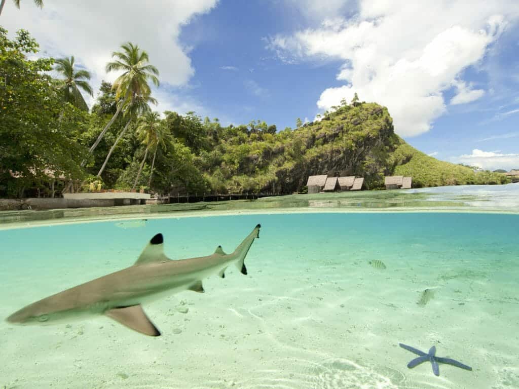 Misool Eco Resort, Misool, Raja Ampat, Indonesia