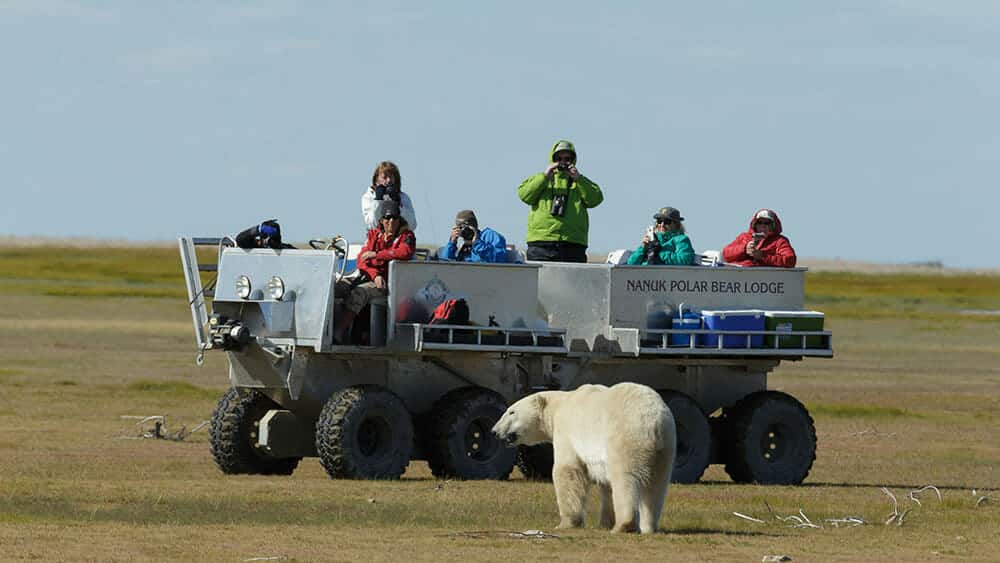 Nanuk Polar Bear Lodge, Nanuk, Canadian Arctic