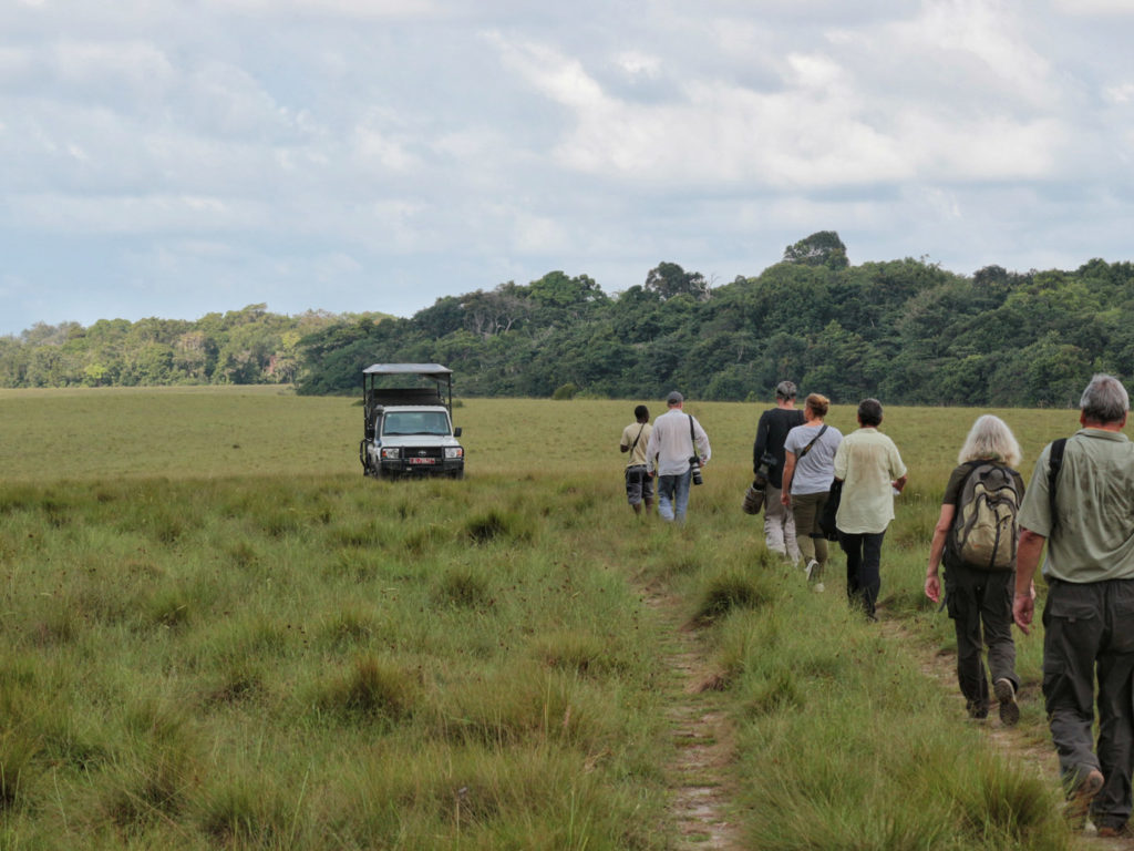 On foot, Loango National Park, Gabon