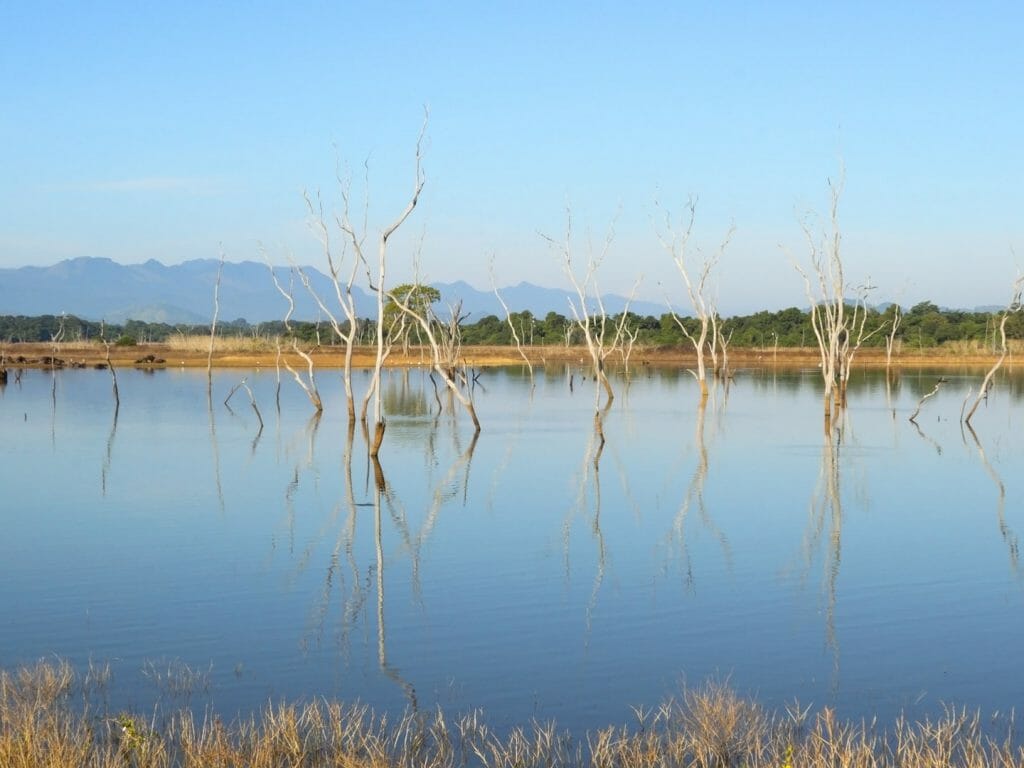 Reservoir at Udawalawe National Park, Sri Lanka