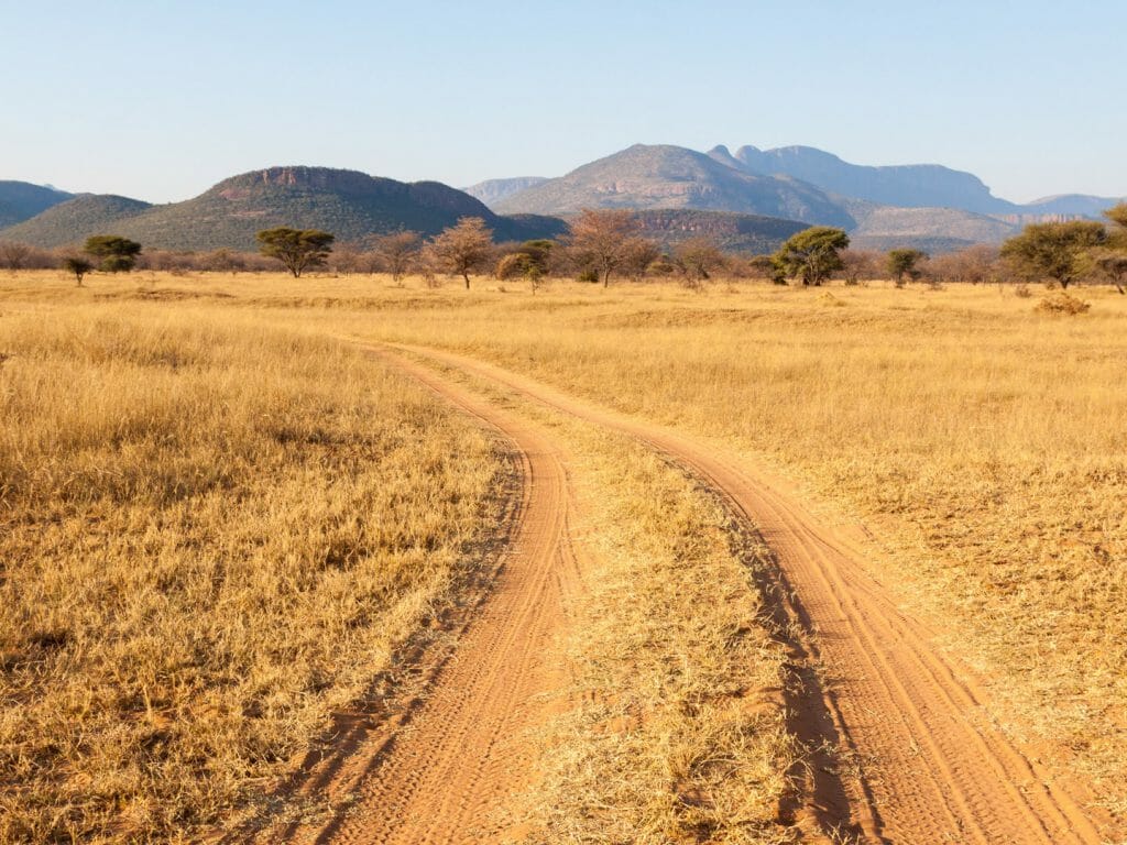 Sand Track in Marakele NP, The Waterberg, South Africa