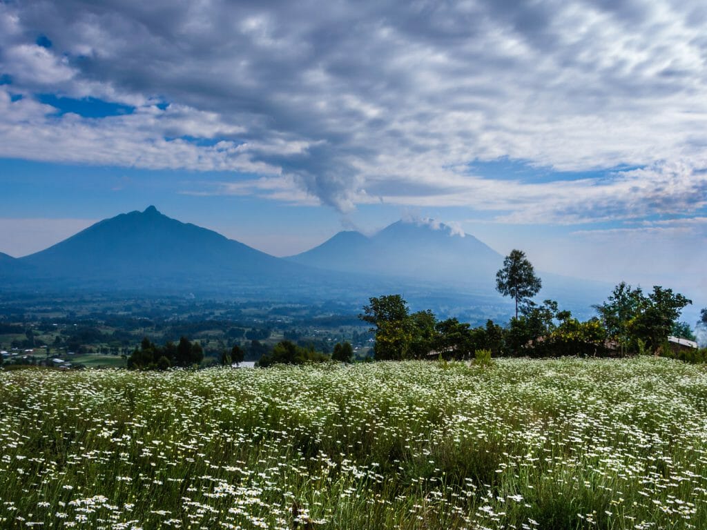 Volcanoes National Park, Rwanda