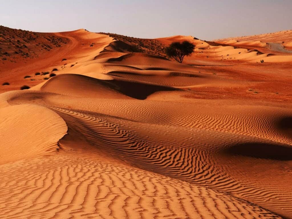 Wahiba Sands, Oman