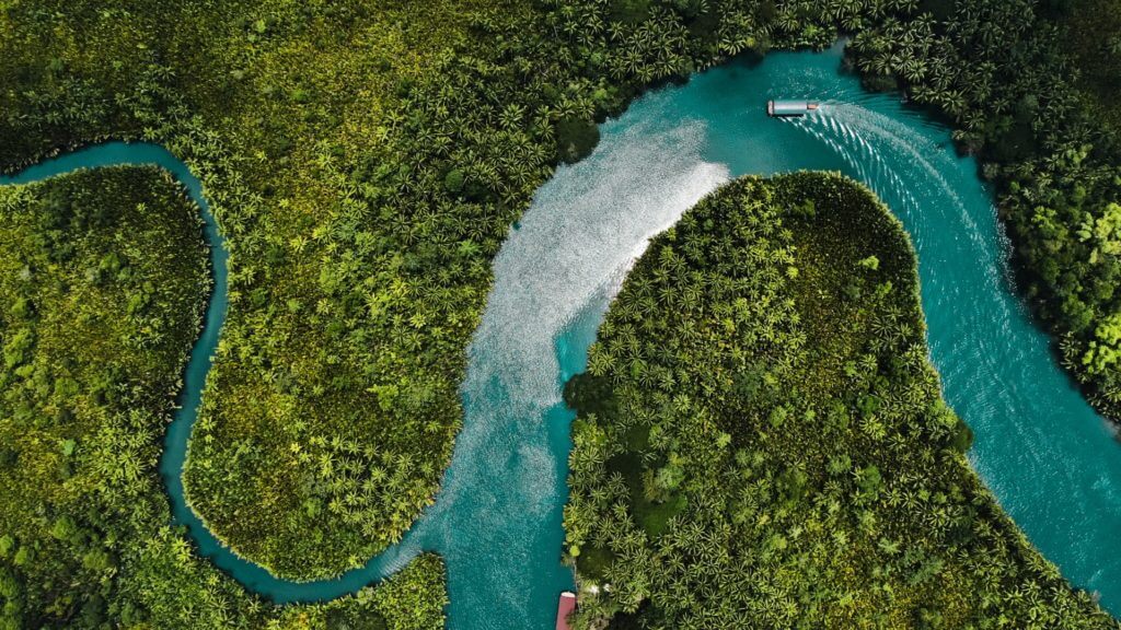 An aerial view of a turquoise blue river bending through a lush green forest in the Philippines