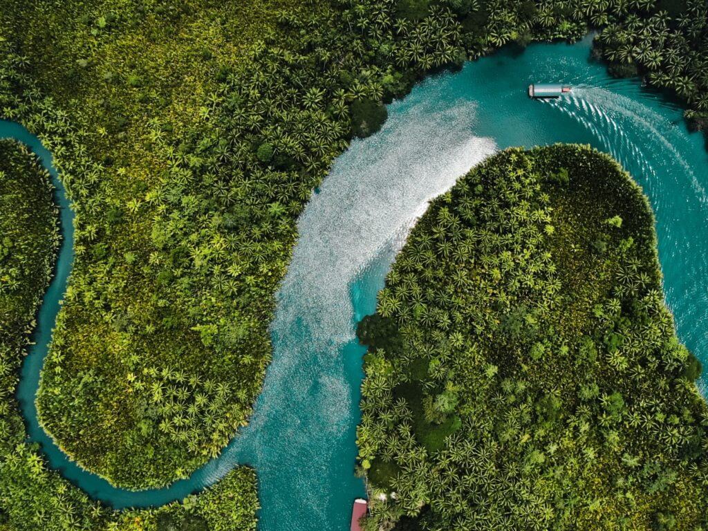 An aerial view of a turquoise blue river bending through a lush green forest in the Philippines