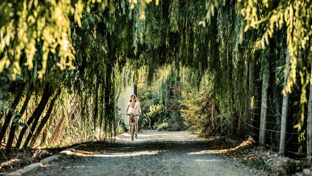 Bike Ride, Cavas Wine Lodge, Mendoza, Argentina