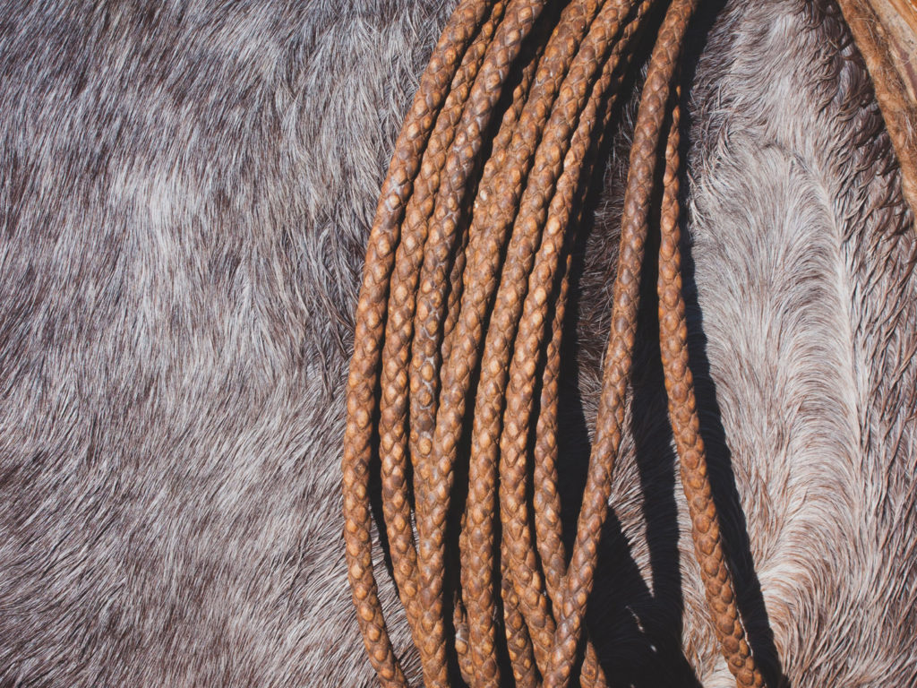 Gaucho Festival, Argentina