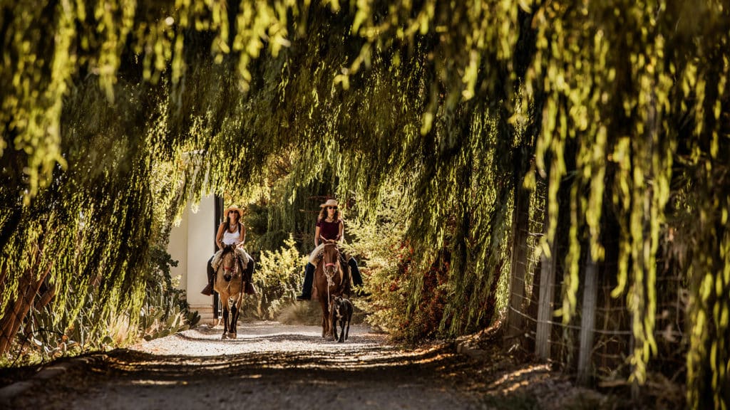 Horseback Riding, Cavas Wine Lodge, Mendoza, Argentina