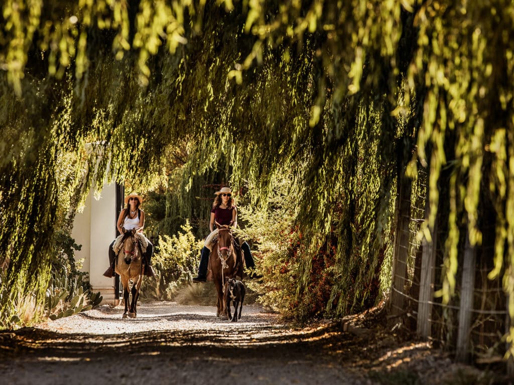 Horseback Riding, Cavas Wine Lodge, Mendoza, Argentina