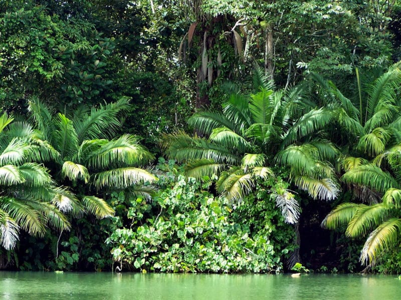 Lake Gatun, Panama Canal