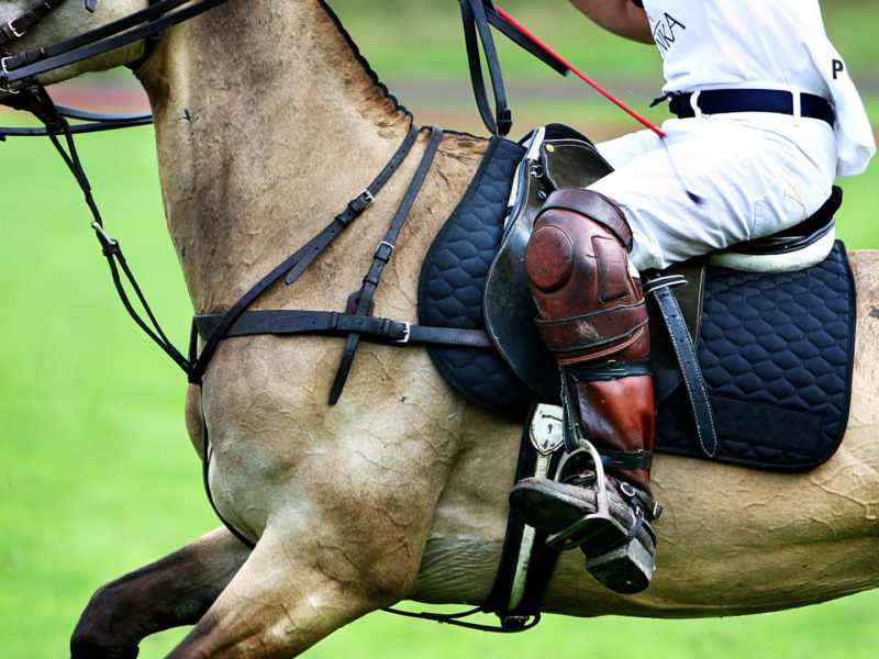 Polo Player, Argentina