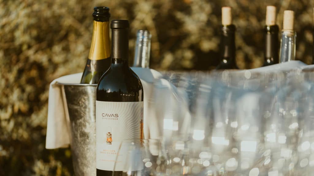 Wine, Cavas Wine Lodge, Mendoza, Argentina