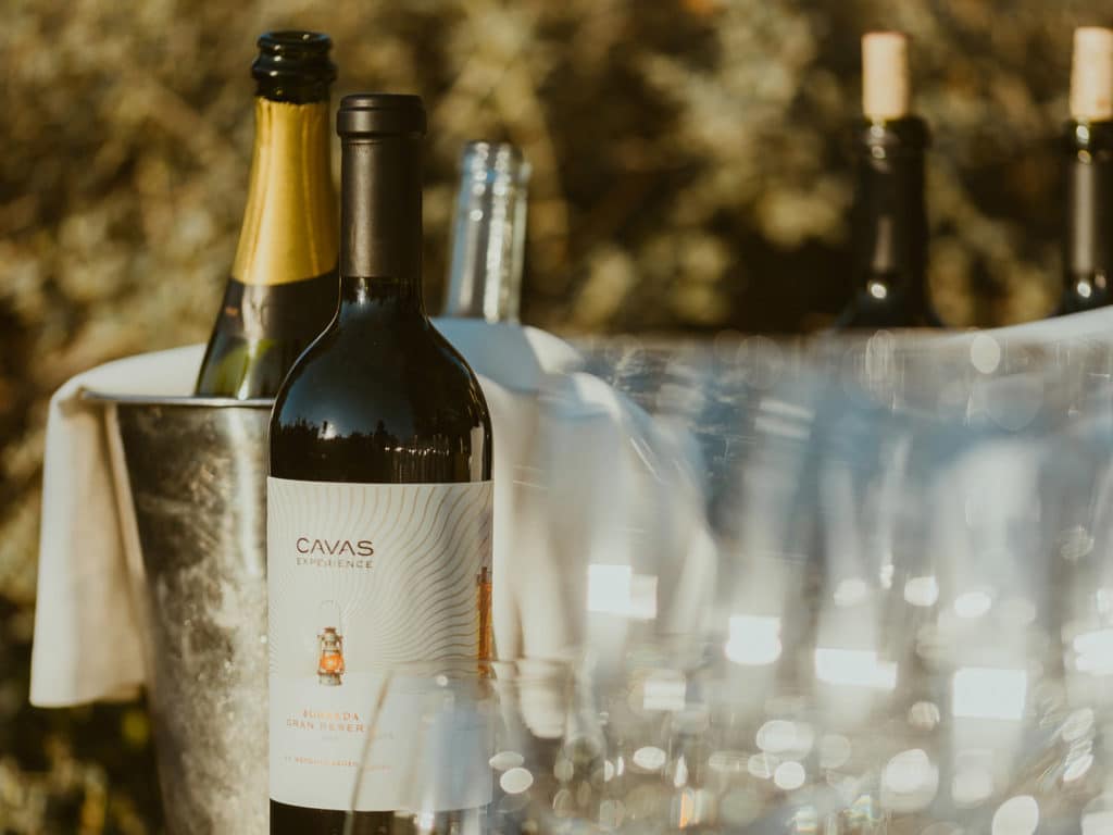 Wine, Cavas Wine Lodge, Mendoza, Argentina