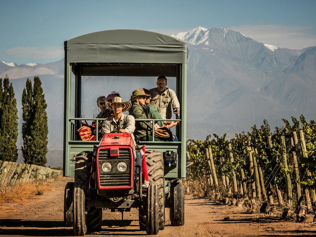 Wine Safari, Cavas Wine Lodge, Mendoza, Argentina