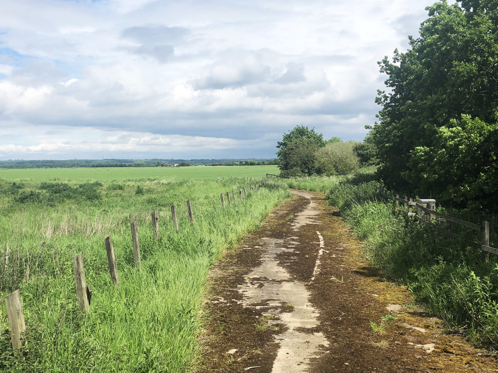 Brigg land for trees