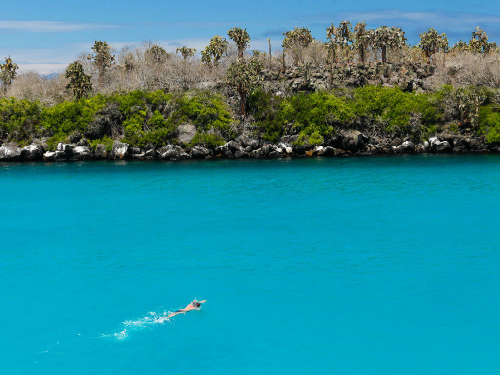 Swimming and Snorkelling, Crystal Blue Water, Sante Fe, Galapagos Islands