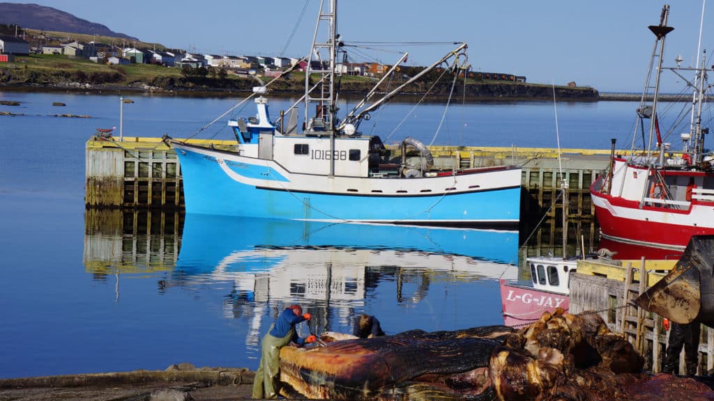 Quirpon Lighthouse Inn, Newfoundland, Canada