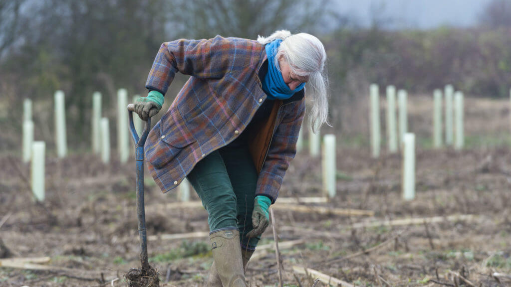 Lady planting trees Brigg, Scunthorpe