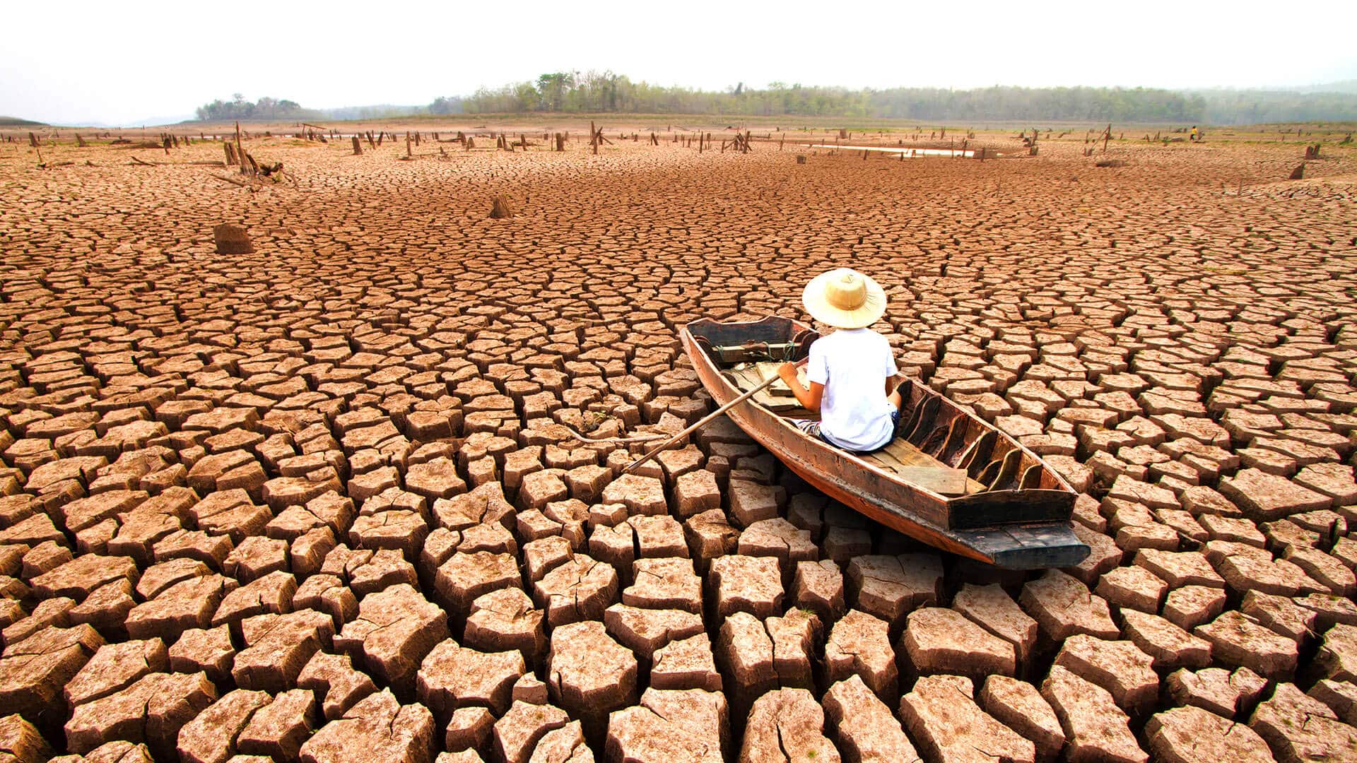 Sustainable Travel Climate Emergency Declaration Steppes Travel