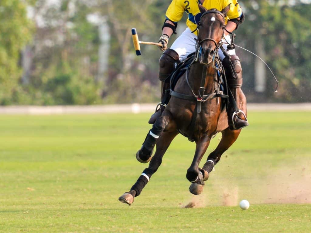 Lower half of polo player in action.