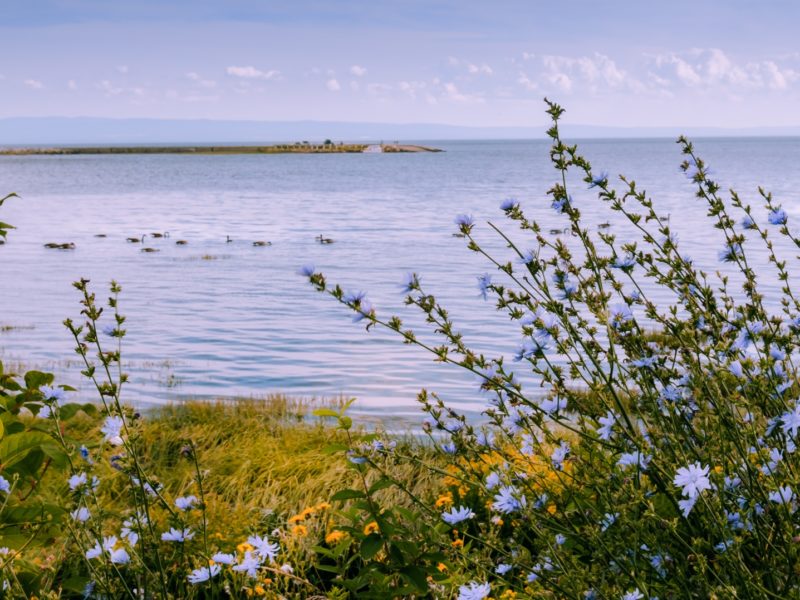 St Lawrence River, Charlevoix, Quebec, Eastern Canada