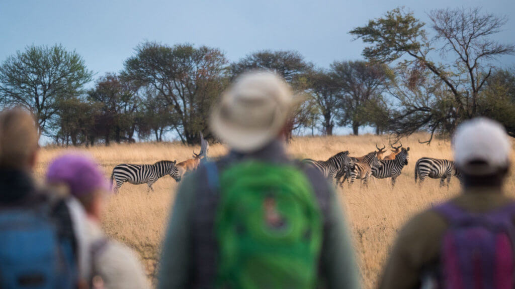 Walking safari, Serengeti, Tanzania
