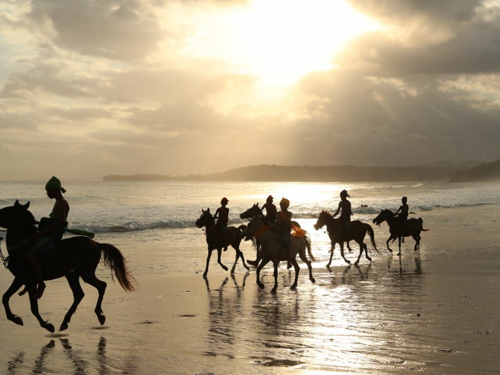 Indonesia, Nihi Sumba, Horses