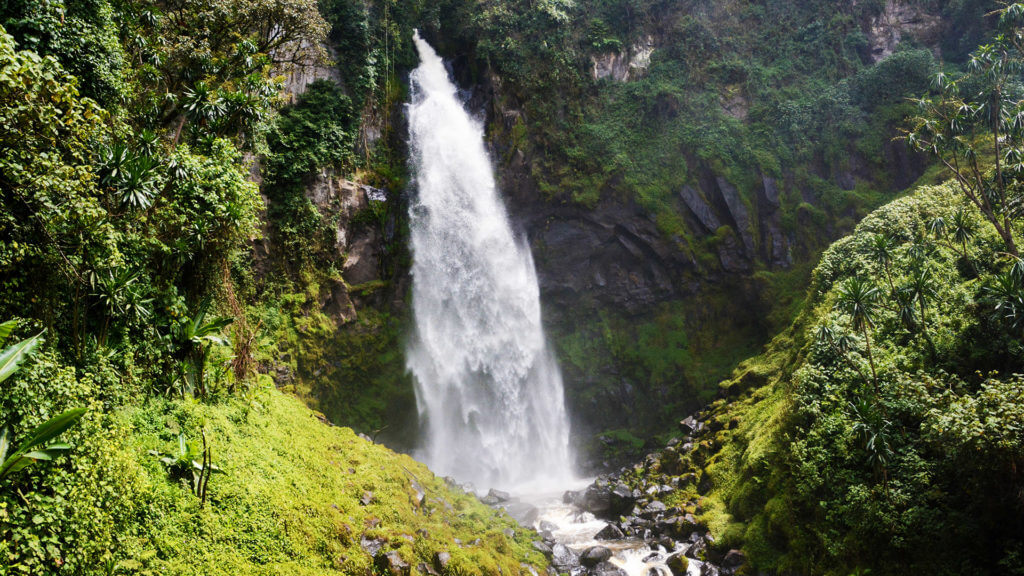 DRC Jungle waterfall