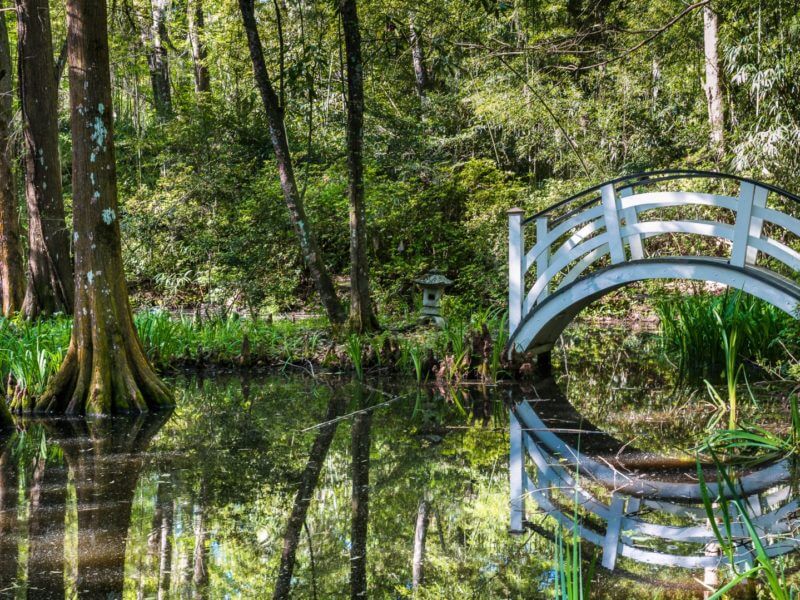 White bridge over a lake in lush former plantation gardens.
