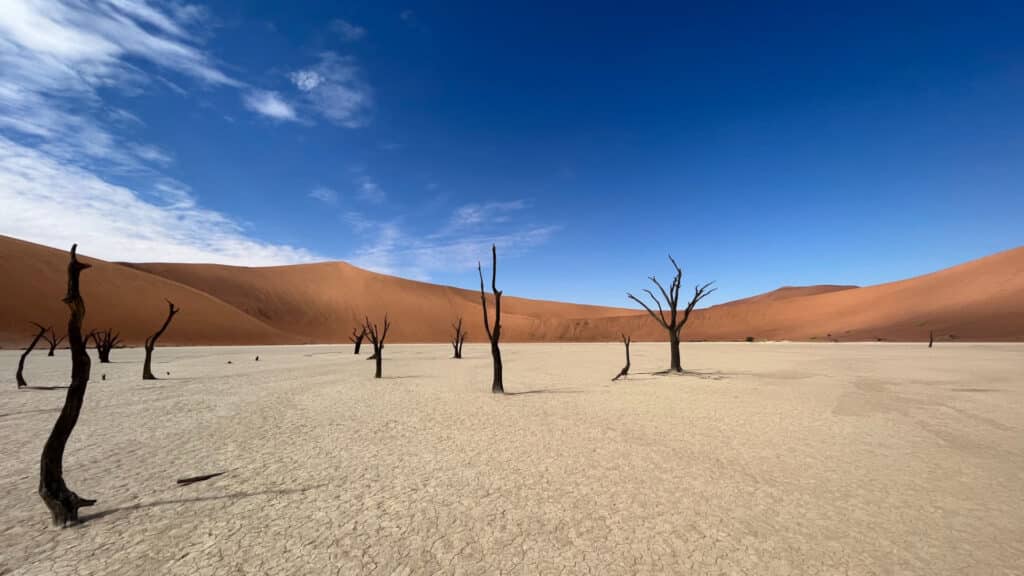 Deadvlei Salt Pan, Sossusvlei, Namibia