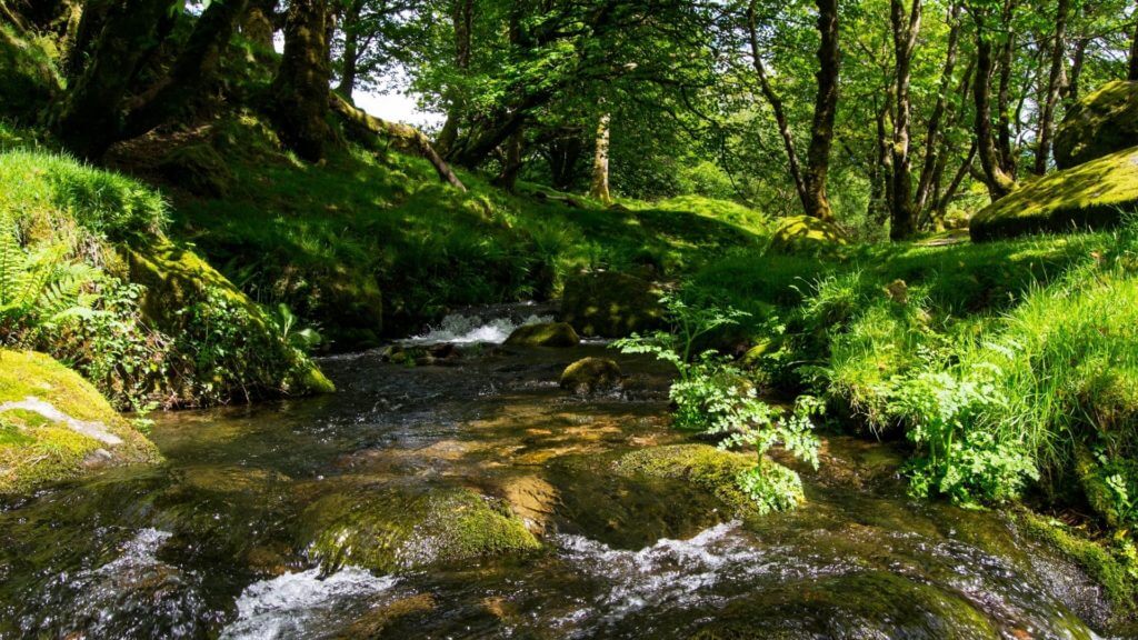 Stream running through Dartmoor, England, UK