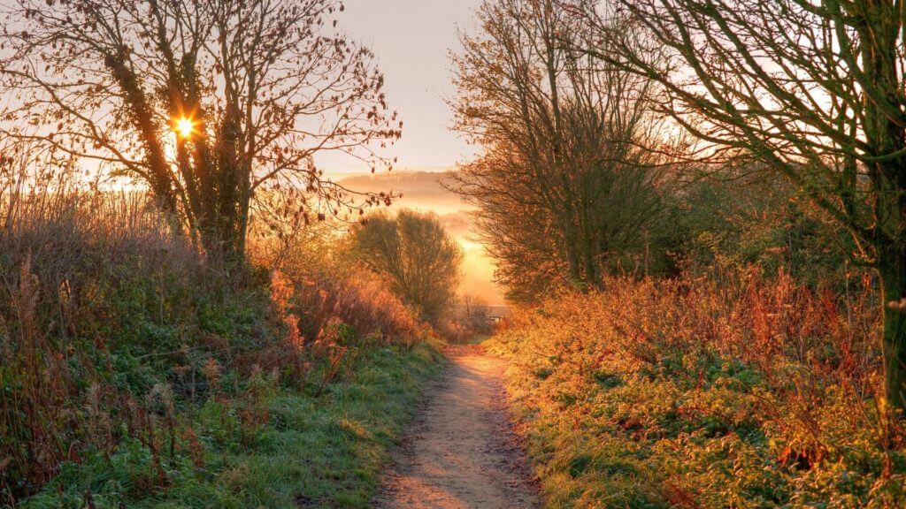 Sunrise on Cotswold Way near Chipping Camden, Cotswolds, England, UK