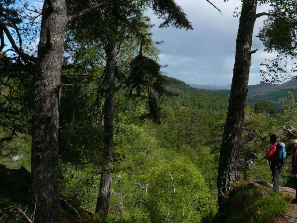 Dundreggan Estate, Scotland