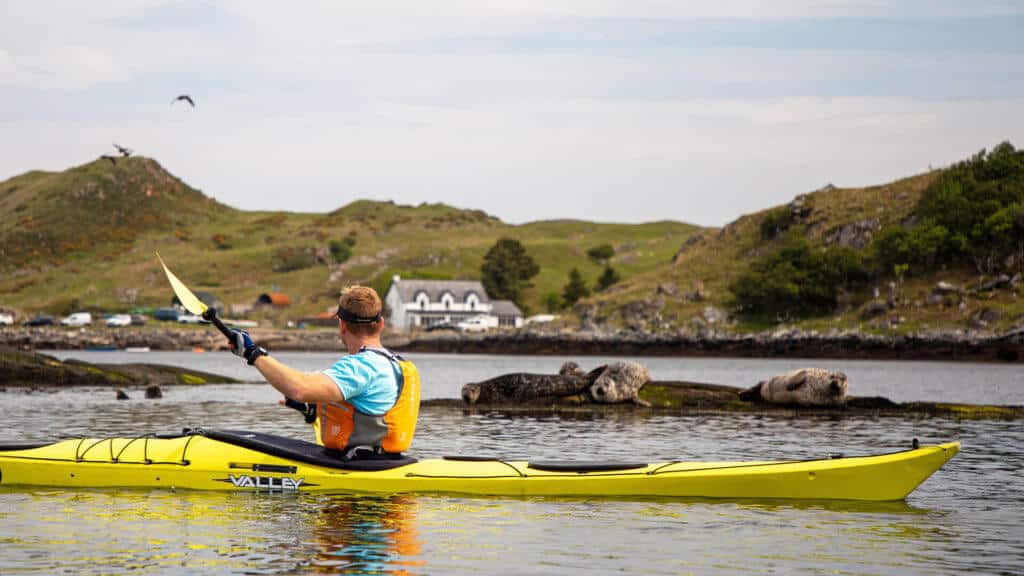 Kayaking with seals in background, Culkein, Drumbeg