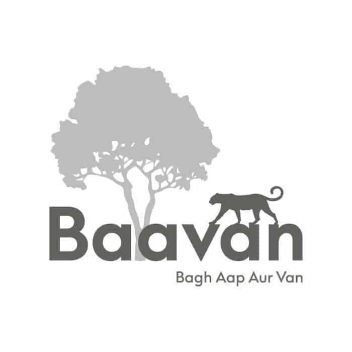 Bavaan