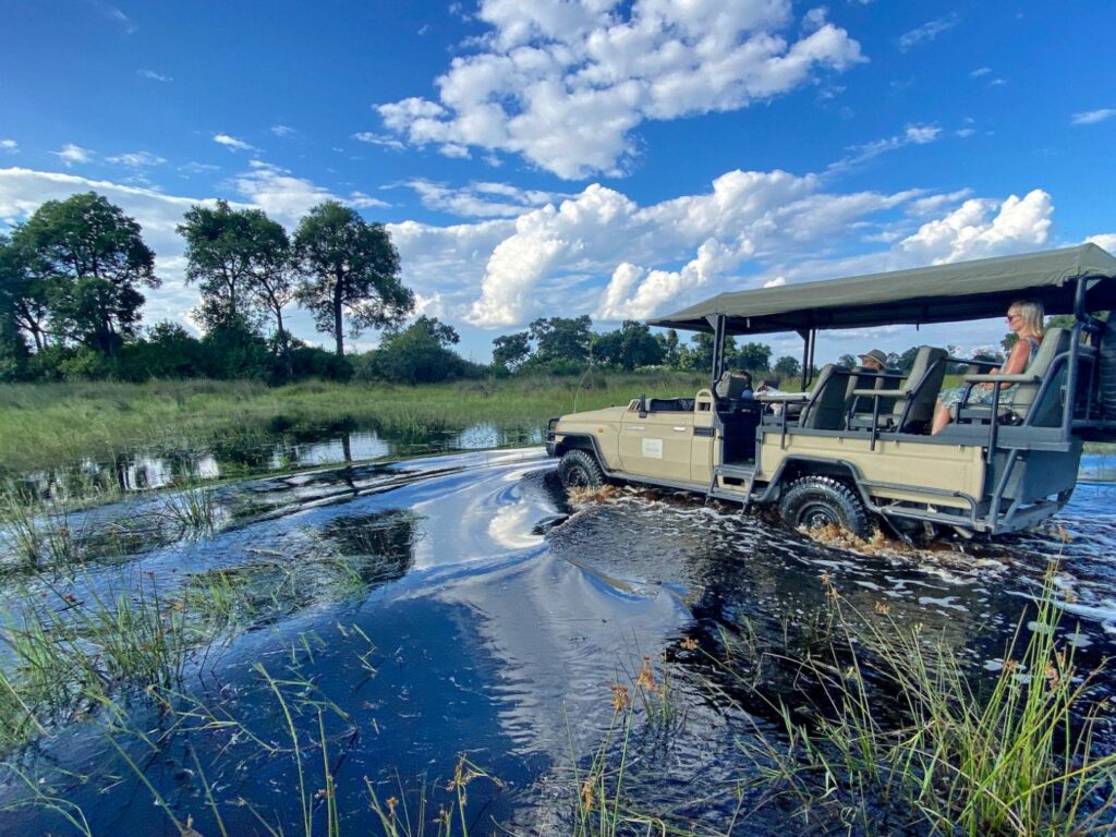 Game drive, North Island Okavango, Okavango Delta, Botswana