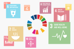 UN SDG logo surrounded by SDG icons
