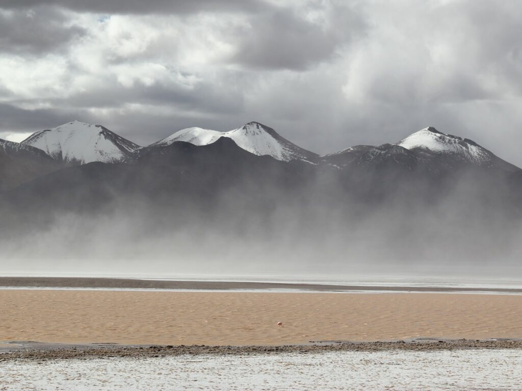 Windswept Altiplano landscapes, Bolivia