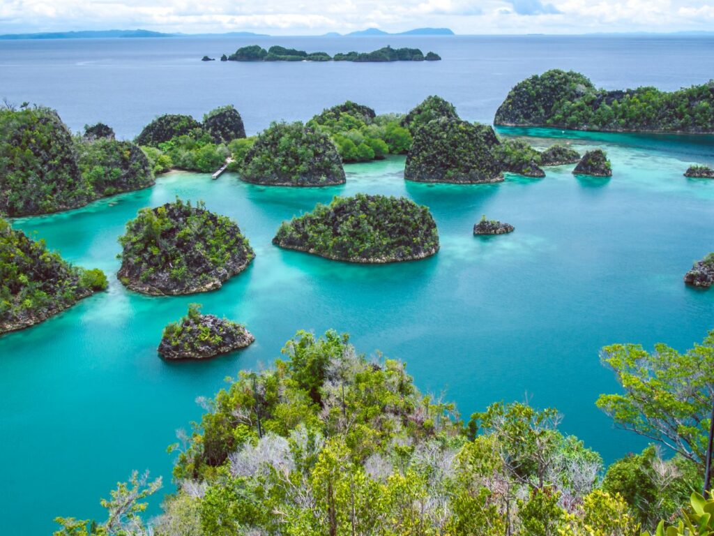 Painemo Island, Raja Ampat, Indonesia