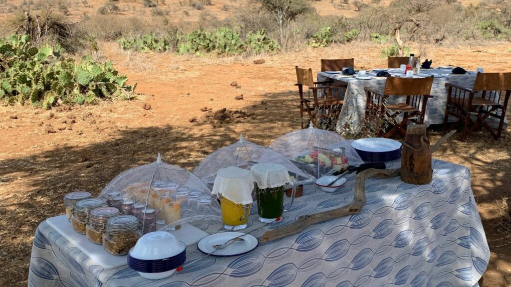 Bush Breakfast, Loisaba Conservancy, Lodo Springs, Laikipia, Kenya