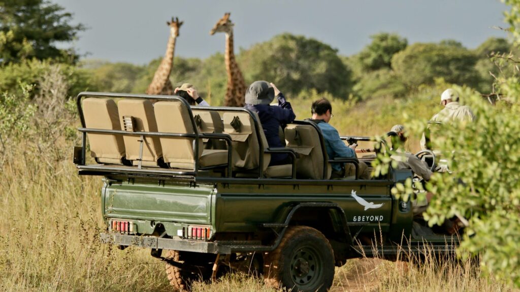 Game drive at Phinda Mountain Lodge, Phinda Game Reserve, KwaZulu Natal, South Africa
