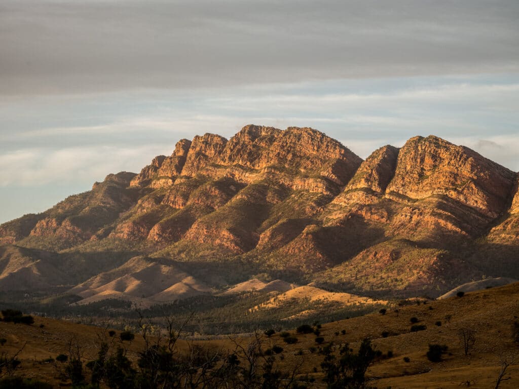 Dawn, Flinders Ranges