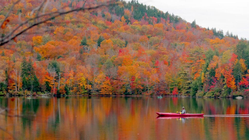 Algonquin canoeing