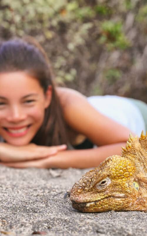 Galapagos Islands, Iguana