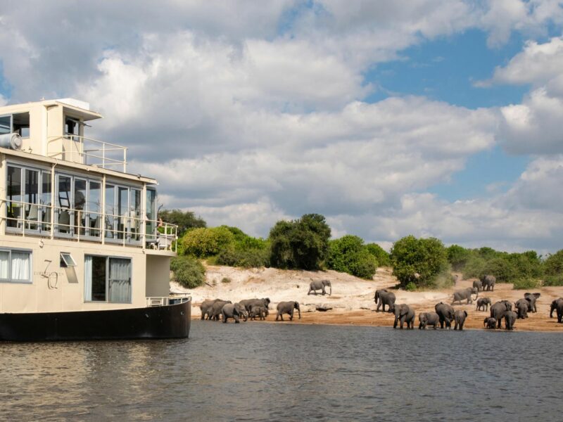 Chobe Princess boat, elephant herd, Chobe National Park, Botswana