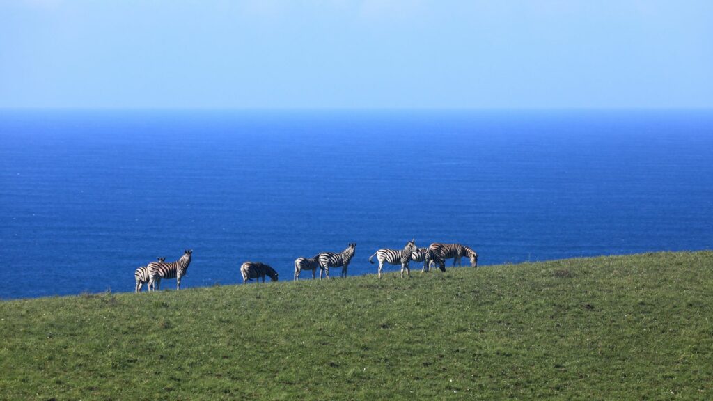 South Africa
