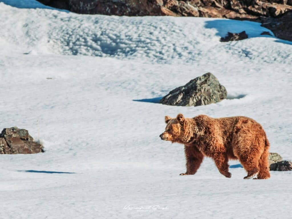 Drenmo Lodge, Ladakh, India